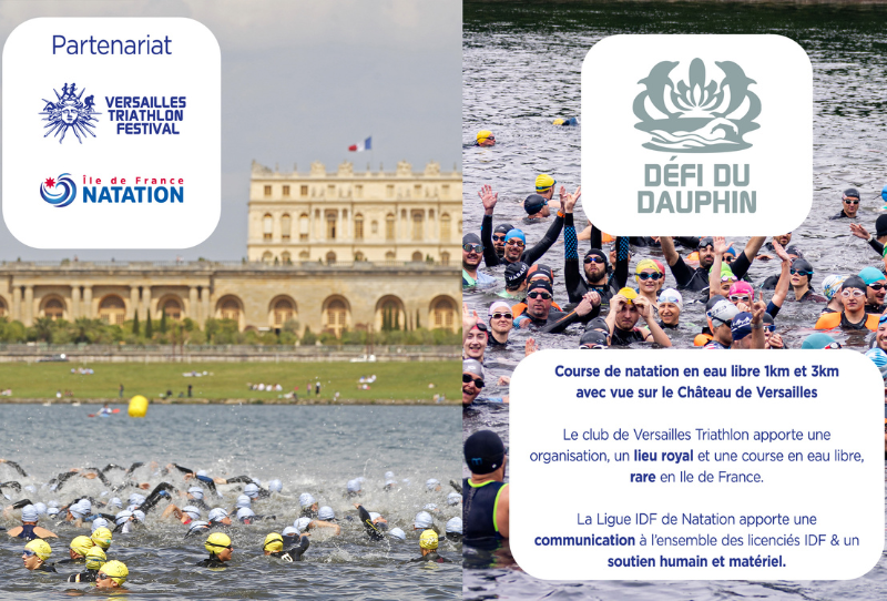 Coupe IDF WP paysage (4)